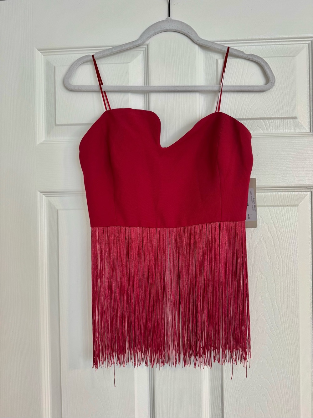 Lizard Thicket Red Fringe Spaghetti Strap Crop Top
